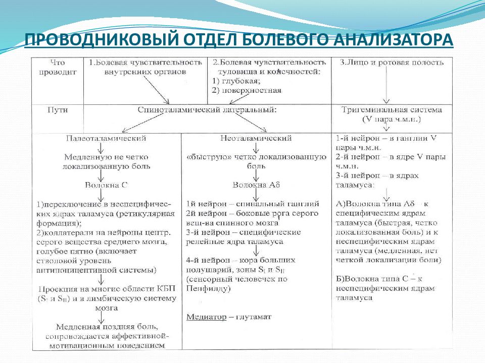 Болевой анализатор физиология презентация