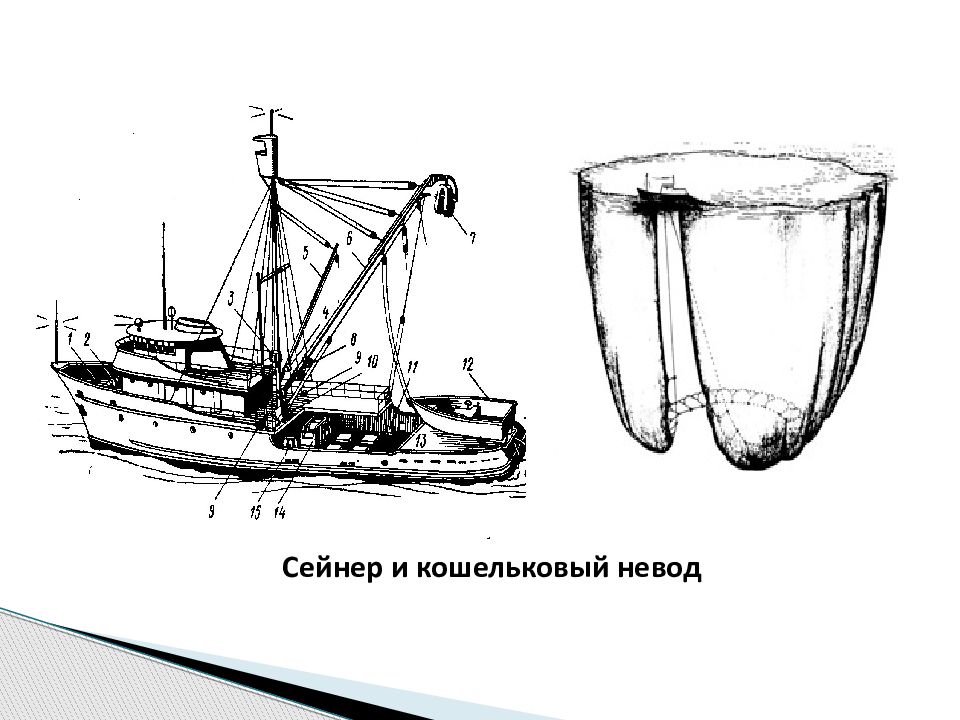 Промысловое судно 7 букв сканворд