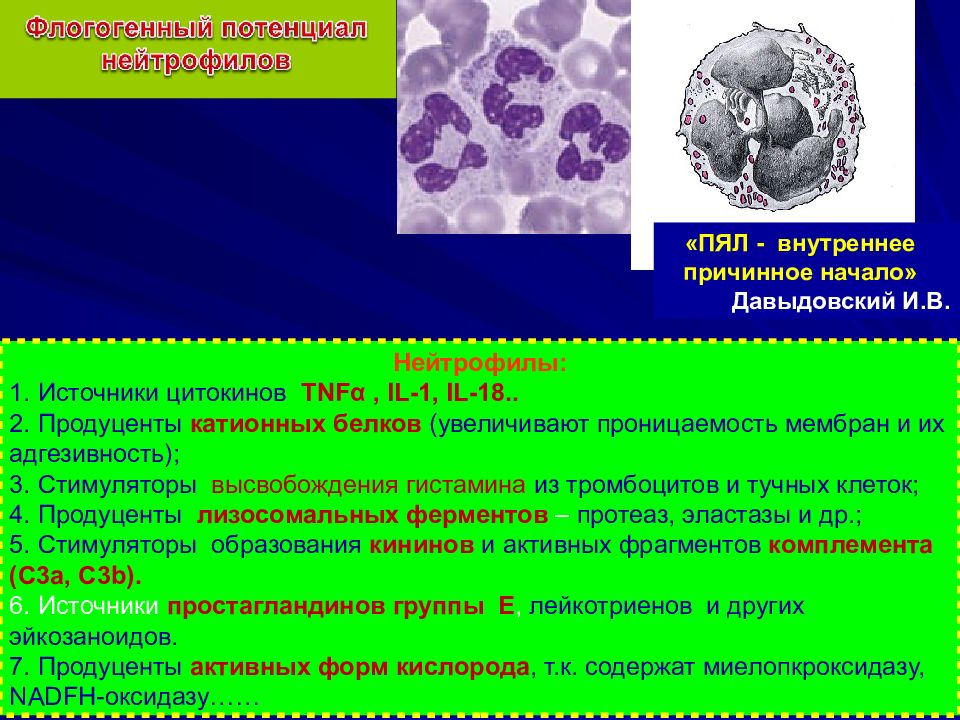 Воспаление 3. Острое воспаление этиология. Клетки хронического воспаления. Катионные белки нейтрофилов.