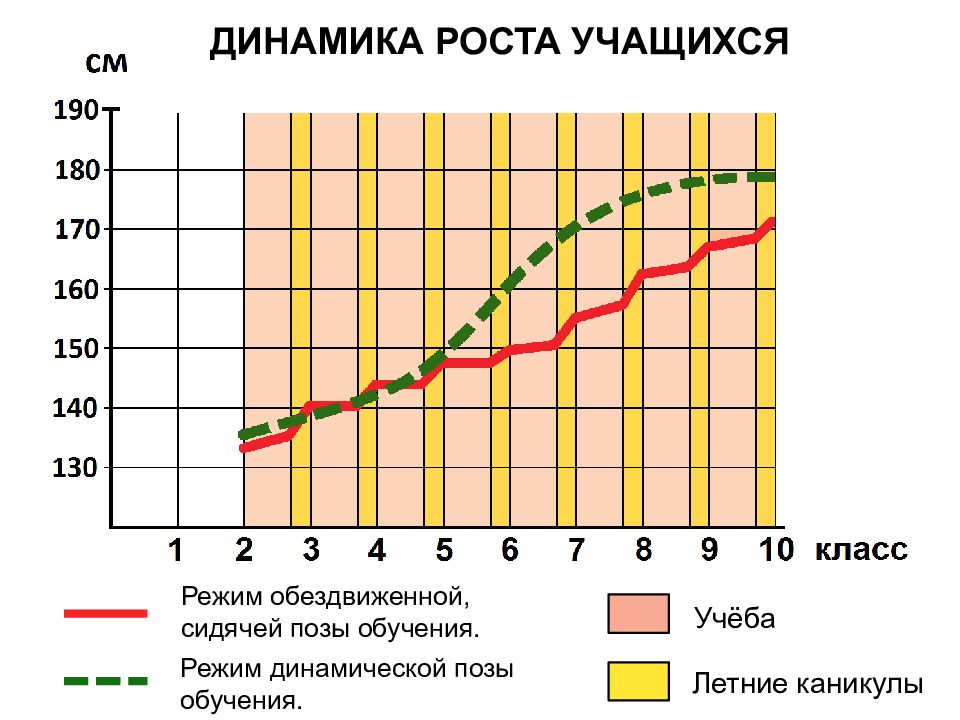 Рост учащихся. Динамика роста ученика. Динамика по росту учеников. Динамический рост.