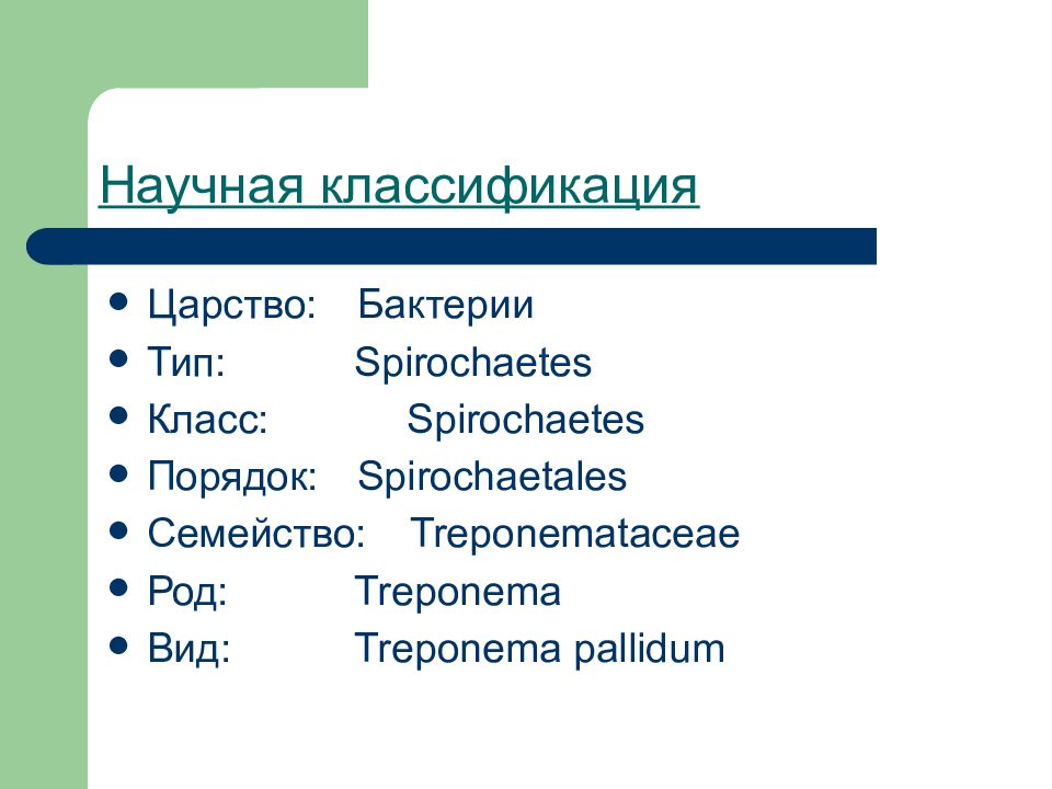 Научная классификация. Научная классификация царства. Виды научной классификации. Первая научная классификация.