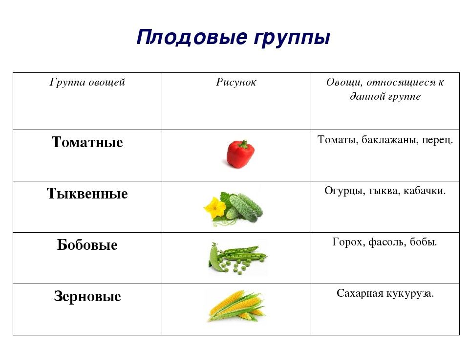 Классификация овощей презентация