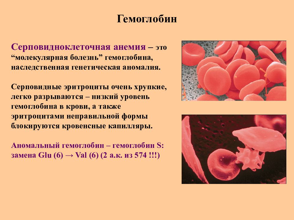 Гемоглобин картинки для презентации