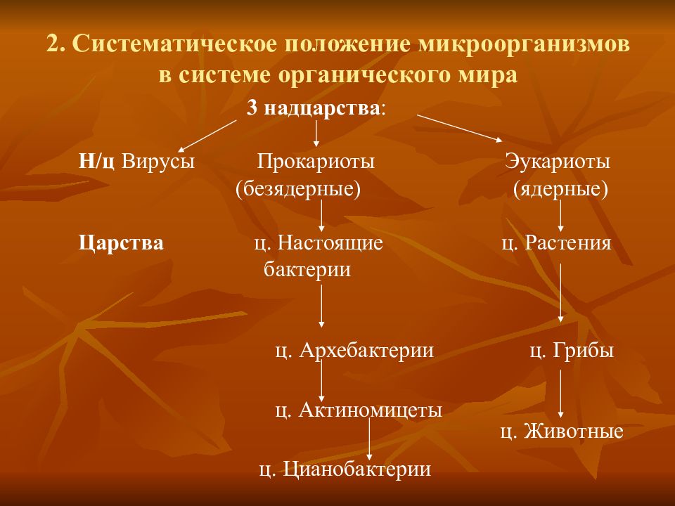 Современная система органического мира презентация 11 класс