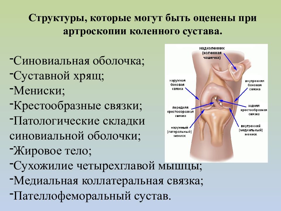 Методы обследования в травматологии и ортопедии презентация