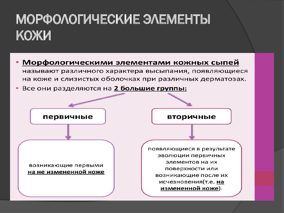 Основы диагностики. Группы морфологических элементов кожи. Дополнительные методы диагностики при поражении кожи.