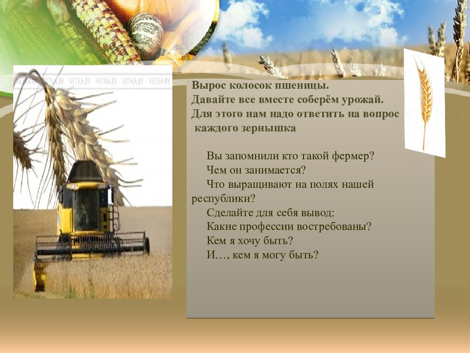 Пшеница золотая ноты. Песня про хлеб детям ноты. Песня расти колосок. Физминутка вырос в поле колосок. Детская песня о хлебе ноты.