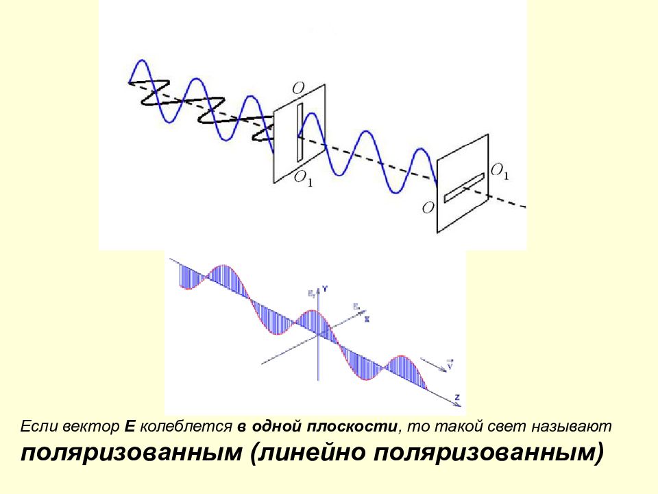 Физическая оптика