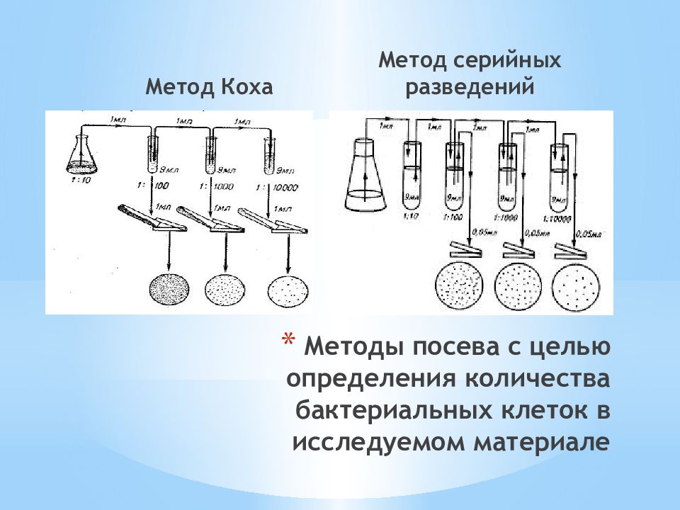 Шестистрочная схема посева с попарно сближенными строками