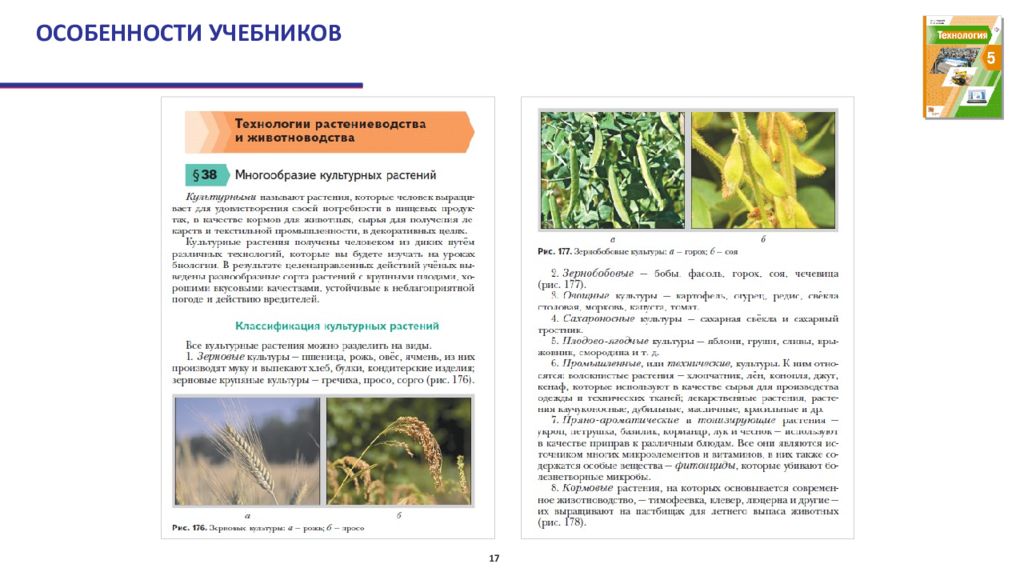 Технология сельскохозяйственные технологии учебник. Особенности учебника технологии. Технология растениеводства учебник. Особенность учебника инструкция и вопросы.