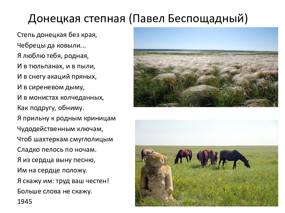 Какое значение степь имеет в жизни человека. Стихи про степь. Стих о природе Донбасса. Стих про Донецкий край.
