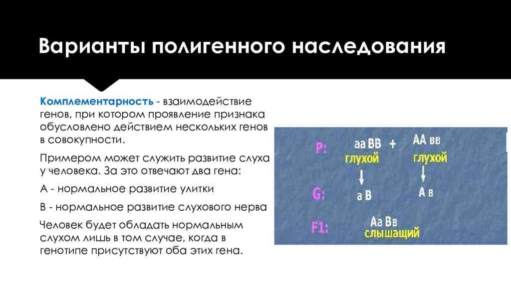 Типы наследования генов. Механизм наследования полигенных признаков. Полигенный Тип наследования. Примеры полигенного наследования. Полигенный Тип наследования примеры.