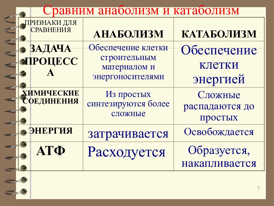 Исходные и конечные вещества. Процессы катаболизма и анаболизма. Анаболизм задача процесса. Анаболизм и катаболизм таблица. Ассимиляция анаболизм и диссимиляция катаболизм.