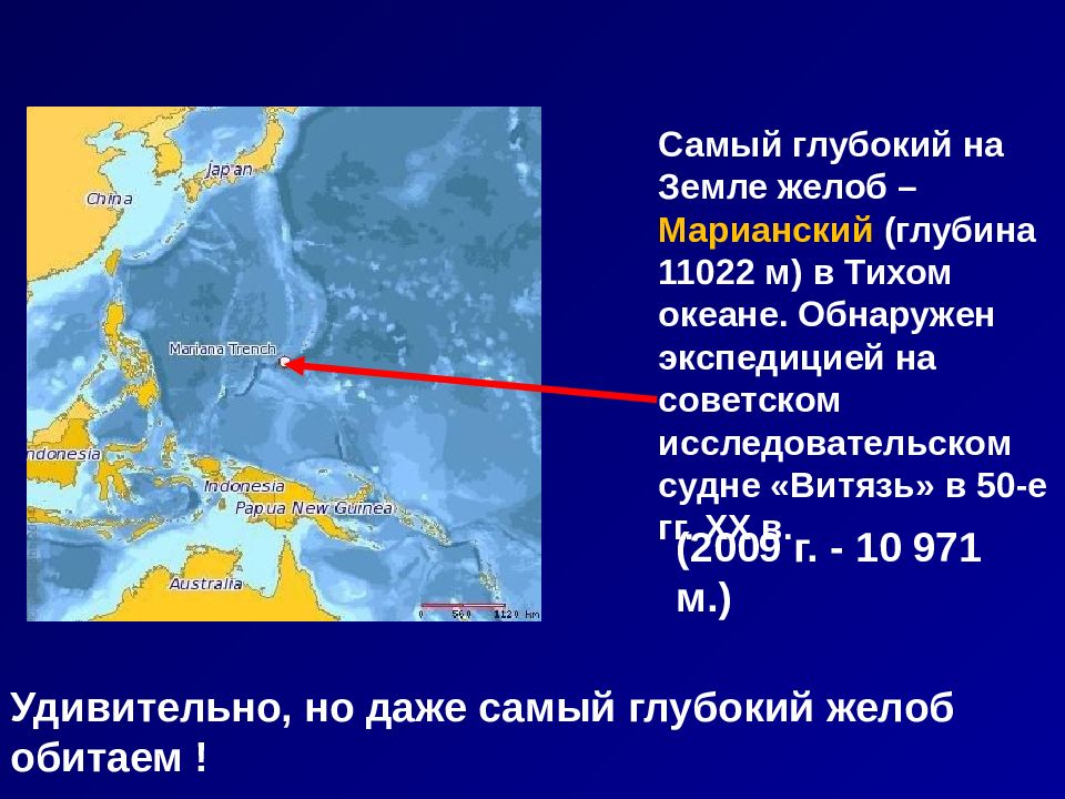 Карта глубоководных желобов мирового океана