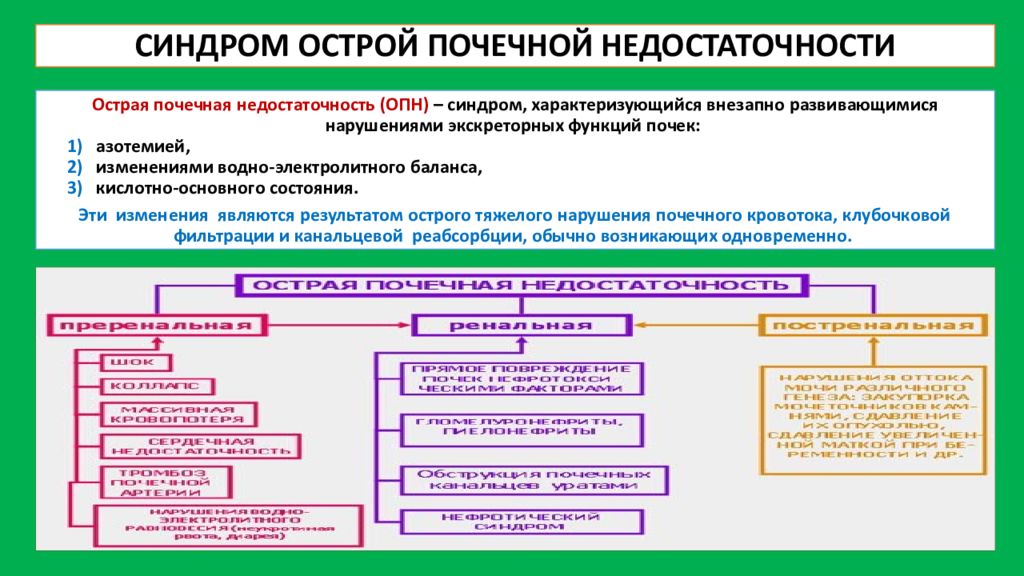 Острая почечная недостаточность острого периода. Синдром ОПН. Синдром острой почечной недостаточности. Основные синдромы при ОПН. Основные синдромы острой почечной недостаточности.