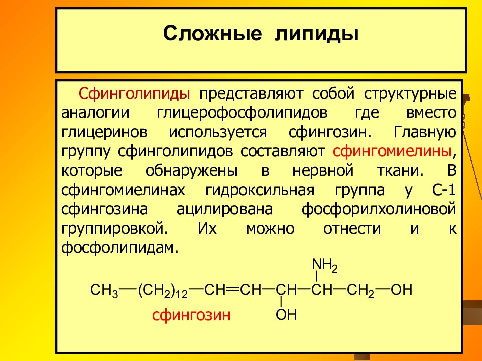 Простые омыляемые липиды