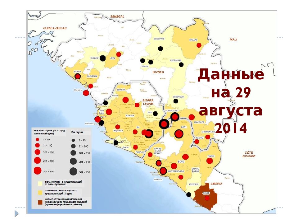 Эбола вирус презентация