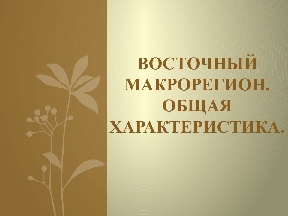 Восточный характер. География Восточный макрорегион 9 класс. Восточный макрорегион общая характеристика география 9 класс. Восточный макрорегион общая характеристика презентация 9 класс.