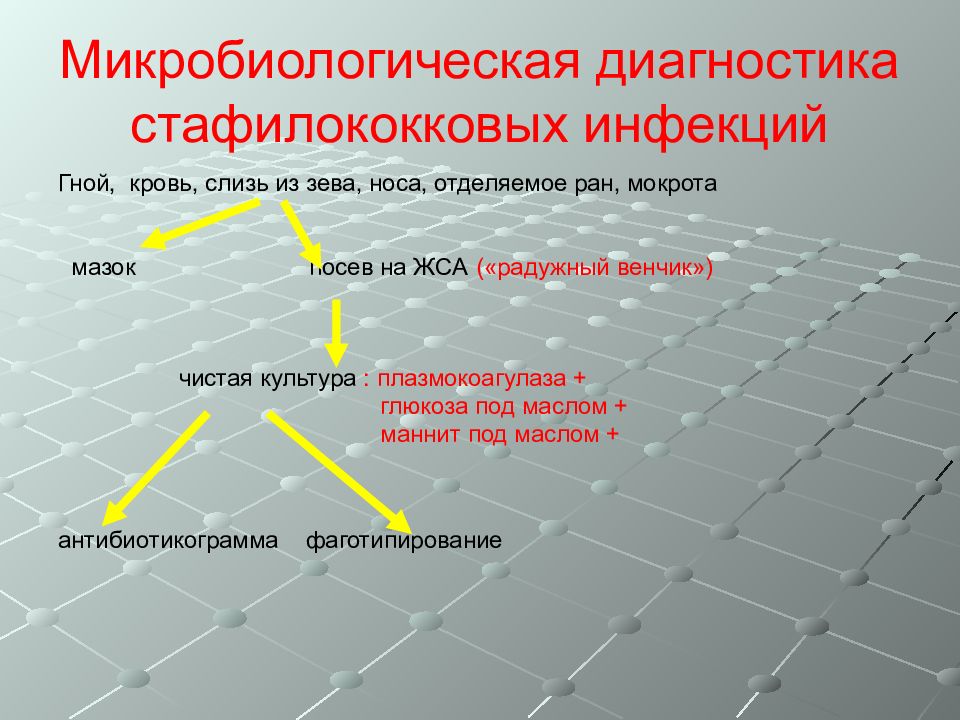 Микробиологическая диагностика. Метод диагностики стафилококковых инфекций. Диагностика стафилококковой инфекции микробиология. Микробиологическая диагностика стафилококка. Бактериологический метод диагностики стафилококковой инфекции.