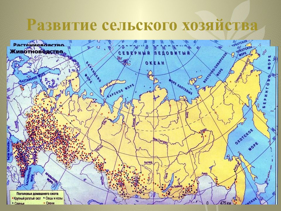 Презентация азиатская россия общая характеристика география 9 класс