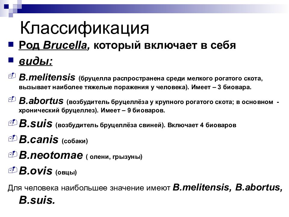 Классификация род. Бруцеллы таксономия. Brucella Melitensis таксономия. Возбудитель Brucella abortus. Бруцелла классификация.