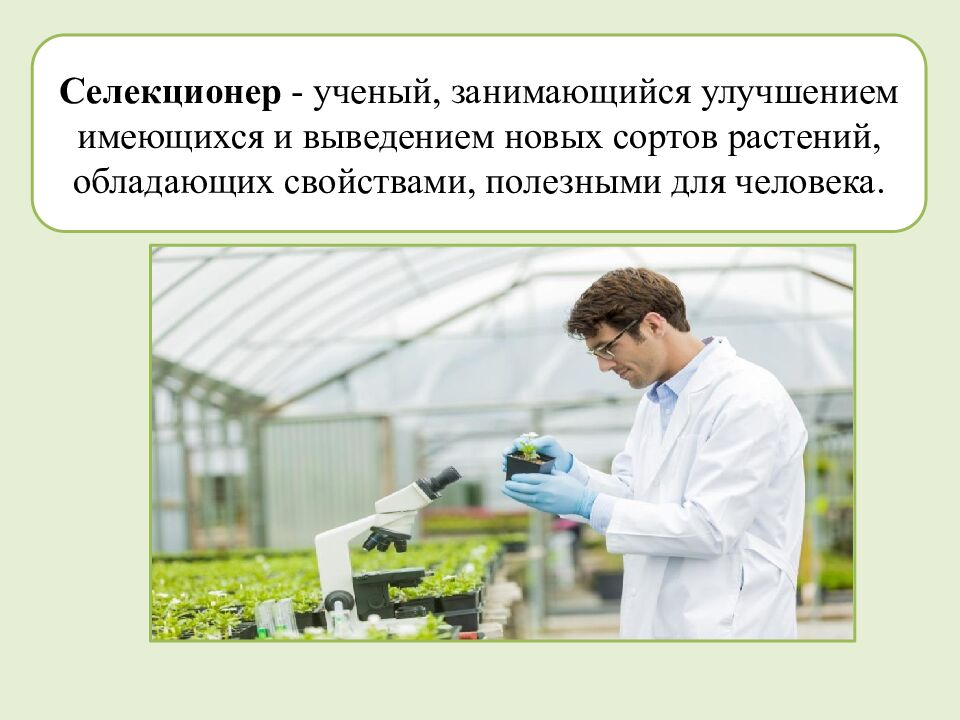 Многообразие и происхождение культурных растений