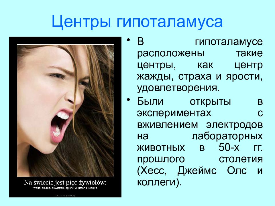 Шум и ярость краткое содержание. Центр ярости находится в. В гипоталамусе располагаются центры ярости удовольствия. Эксперимент на гипоталамус.