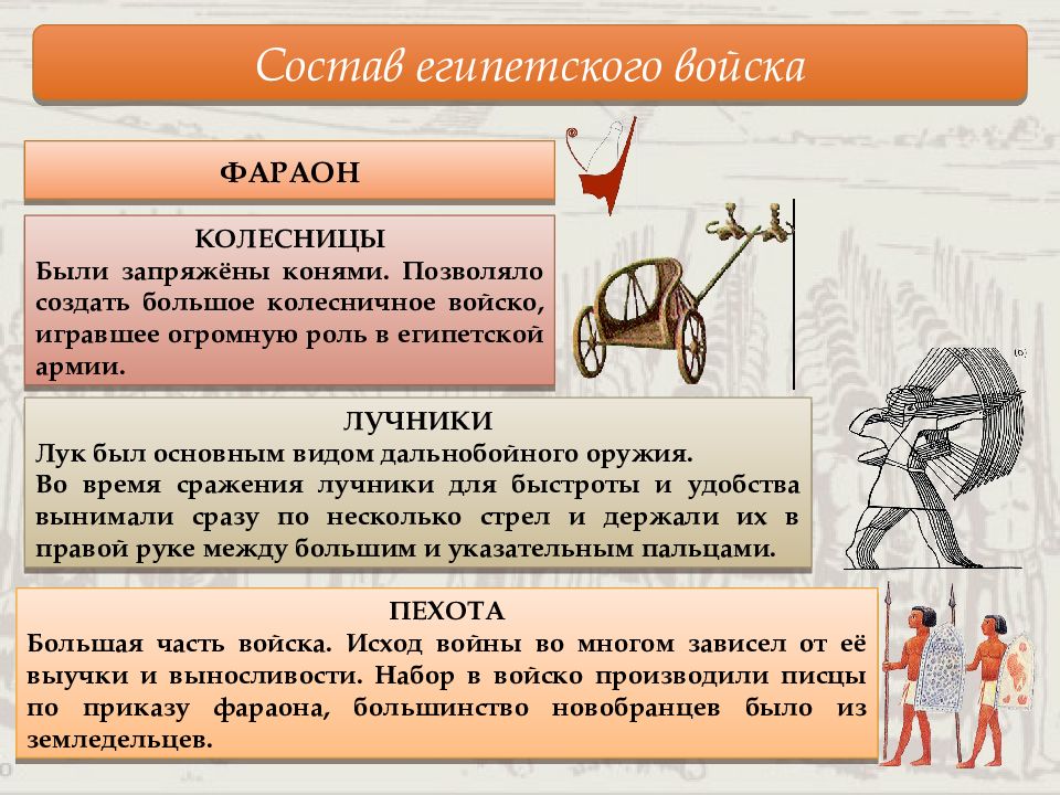 Войско состояло из. Египетское войство состояло. Армия древнего Египта кратко. Состав египетского войска. Древнеегипетское войско состояло из.