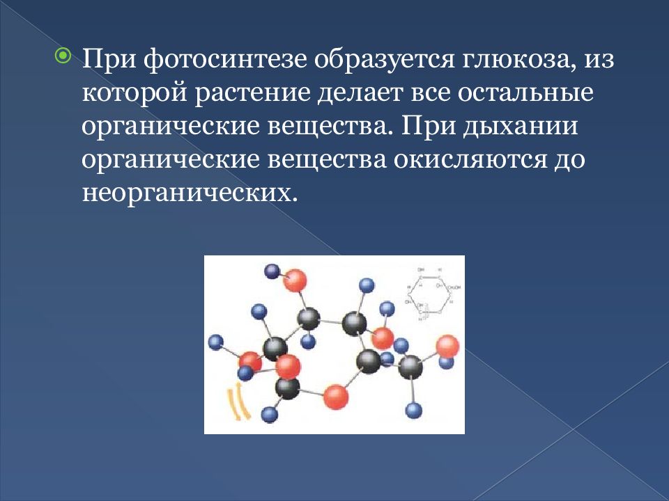 Сложные органические вещества при дыхании. При фотосинтезе образуется Глюкоза. Органические вещества при дыхании. При дыхании органические вещества образуются. Органические вещества которые образуются из Глюкозы.