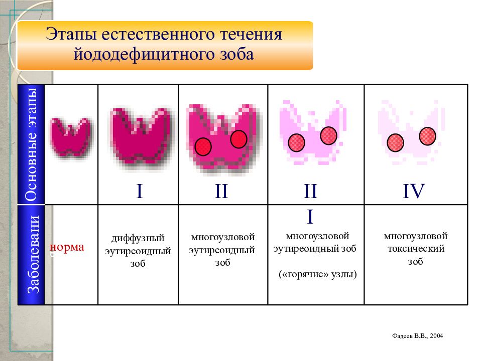 Функции щитовидной железы презентация