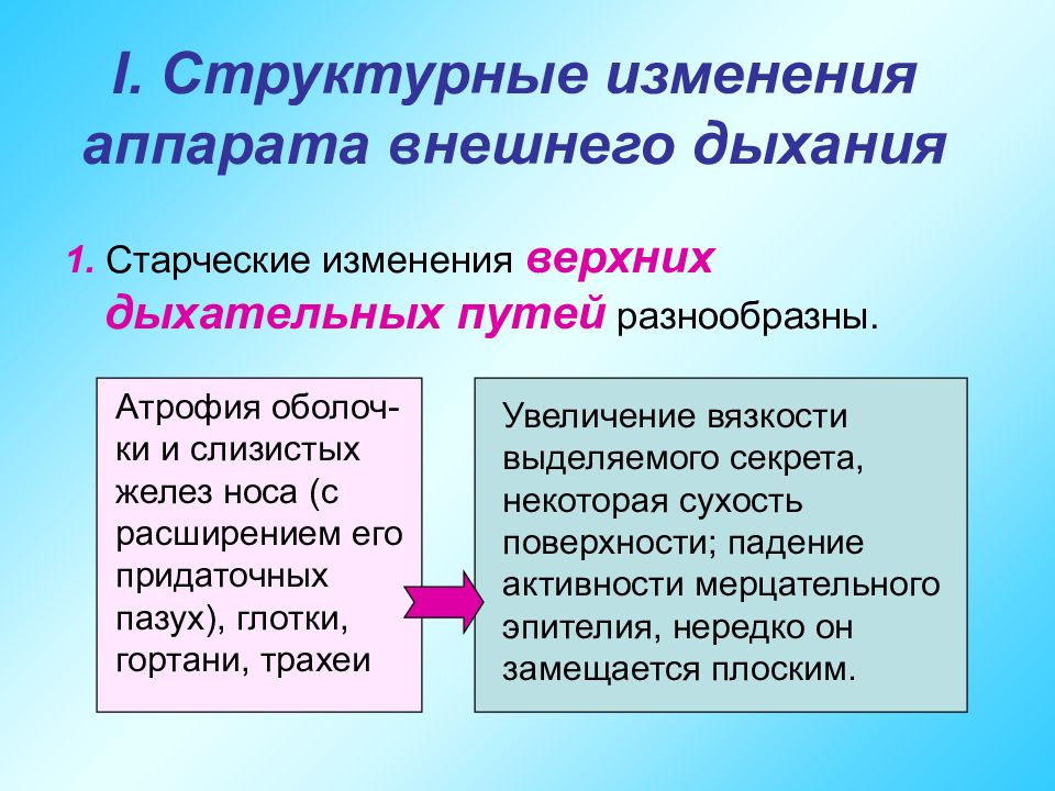 Старение дыхательной системы. Аппарат внешнего дыхания.