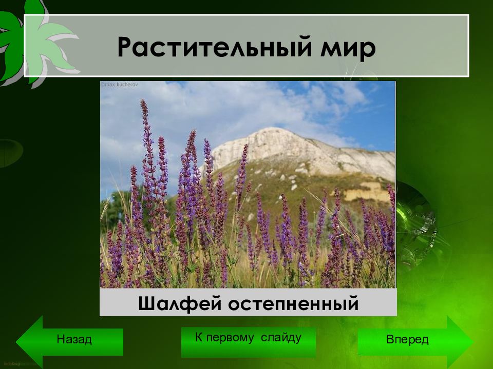 Природные парки волгоградской области презентация