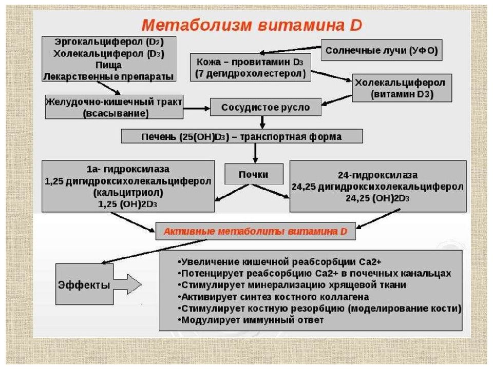 Фосфорно кальциевый обмен биохимия презентация