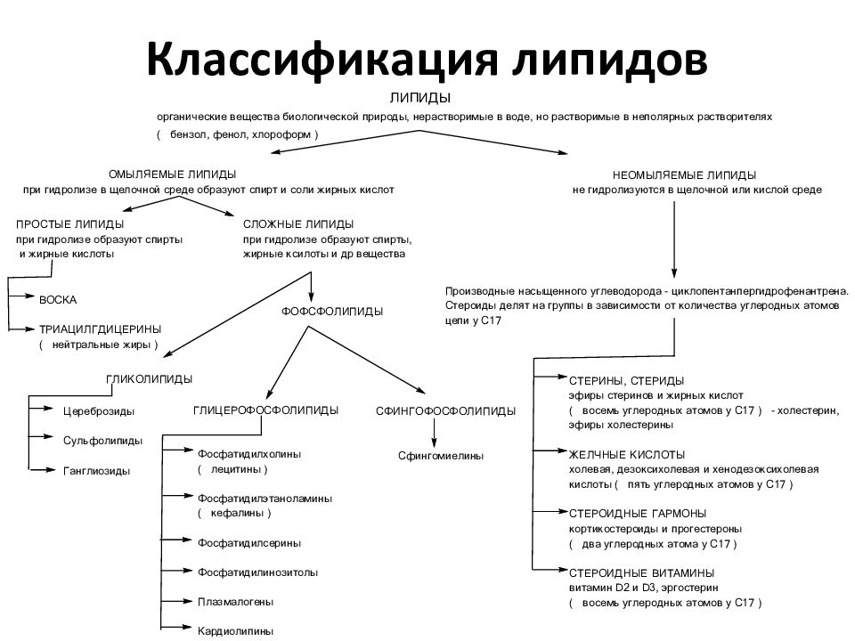 Классификация липидов схема