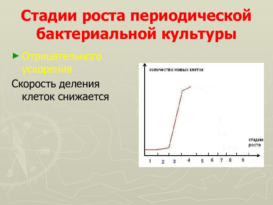 Стадия роста. Стадии роста периодической бактериальной культуры. Фазы роста бактериальной культуры. Стационарная фаза роста. Фазы роста микробной культуры.