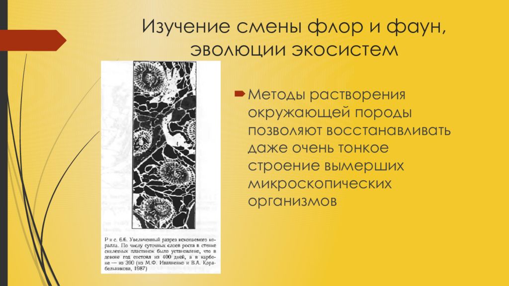 Исследование эволюции. Палеонтологические методы изучения эволюции. Методы изучения эволюции экосистем. Методы изучения Флоры. Методы изучения Флоры и фауны.