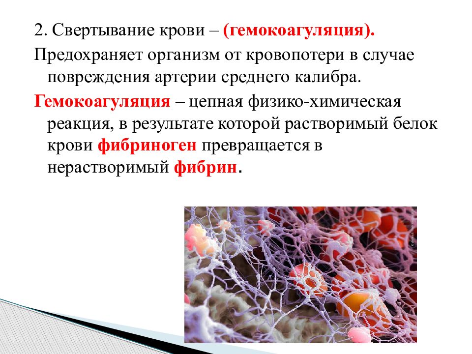 Химические реакции в организме. Роль тромбоцитов в свертывании крови. Свертывание крови презентация. Роль белков в свертывании крови. Белок свертывания крови.