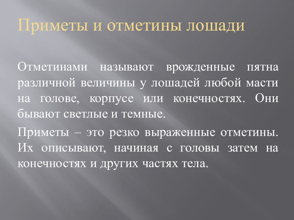 Приметы и отметины лошади