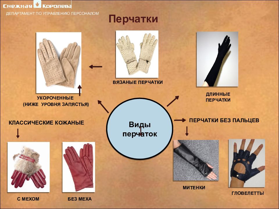 Где находятся перчатки. Разновидности перчаток. Женские перчатки название. Разновидности защитных перчаток. Разновидности перчаток названия.