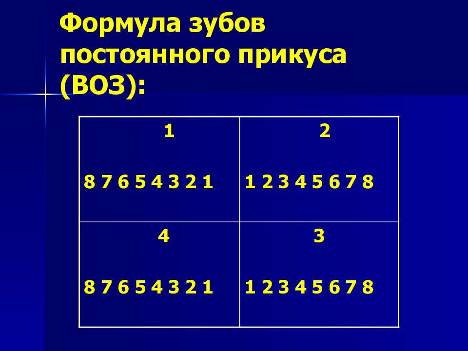 Анатомия постоянных зубов презентация