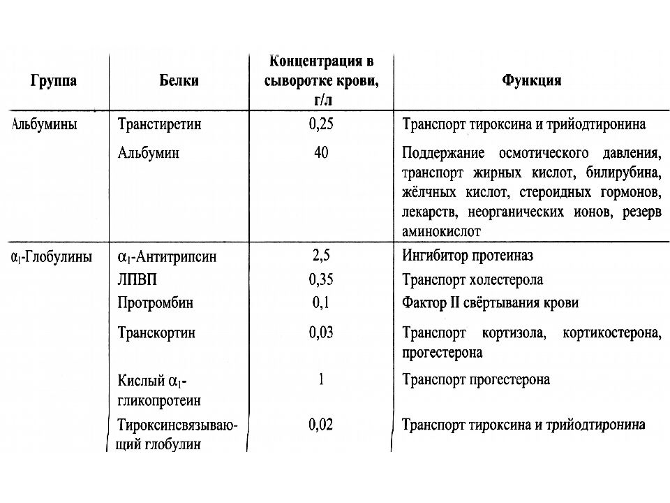 Белки плазмы крови презентация биохимия