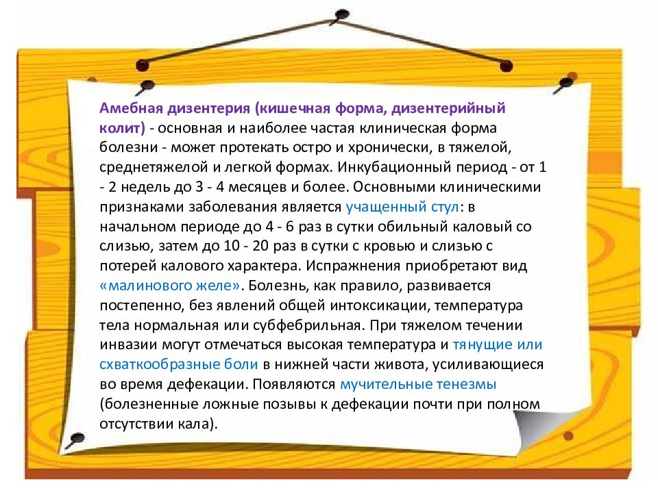 Дизентерия лечение. Амебиаз (дизентерийный амебиаз). Профилактика заболевания амебная дизентерия. Дизентерия легкая форма.