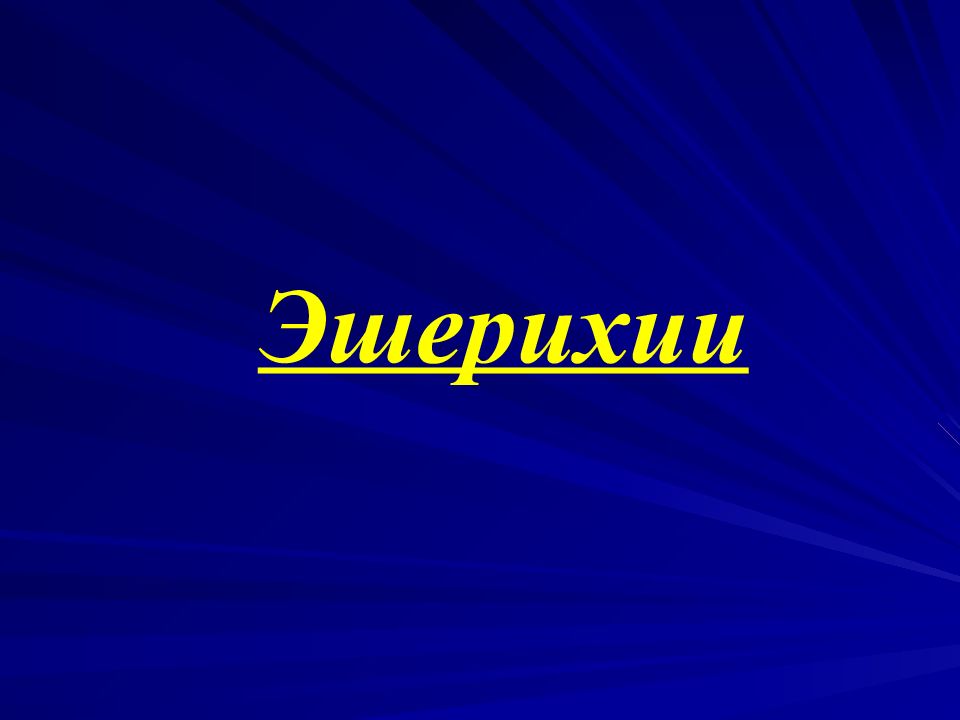 Эшерихии
