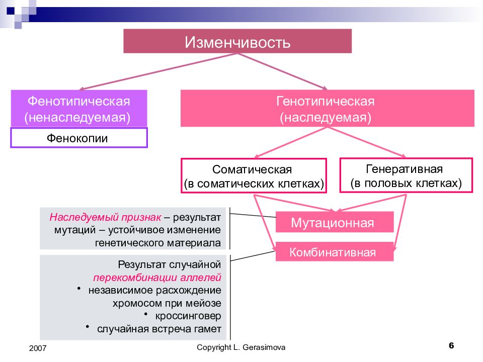 Роль наследственности в патологии презентация