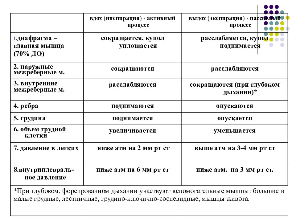 Биомеханика внешнего дыхания презентация