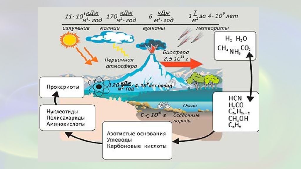 Схема гипотезы возникновения жизни