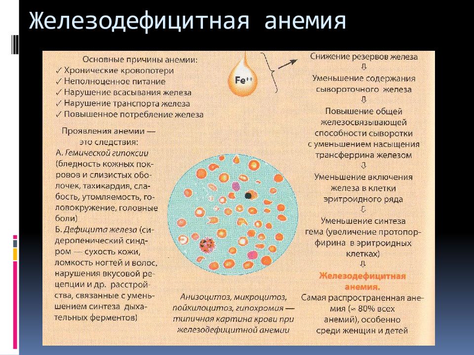 Заболевания крови у беременных презентация