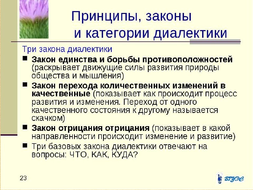 Согласно диалектической философии всякое развитие происходит по схеме