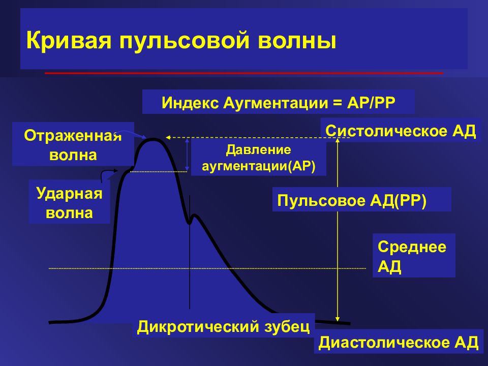 Давление волны. Кривая пульсовой волны. Амплитуда пульсовой волны. Распространение пульсовой волны. Форма пульсовой волны.