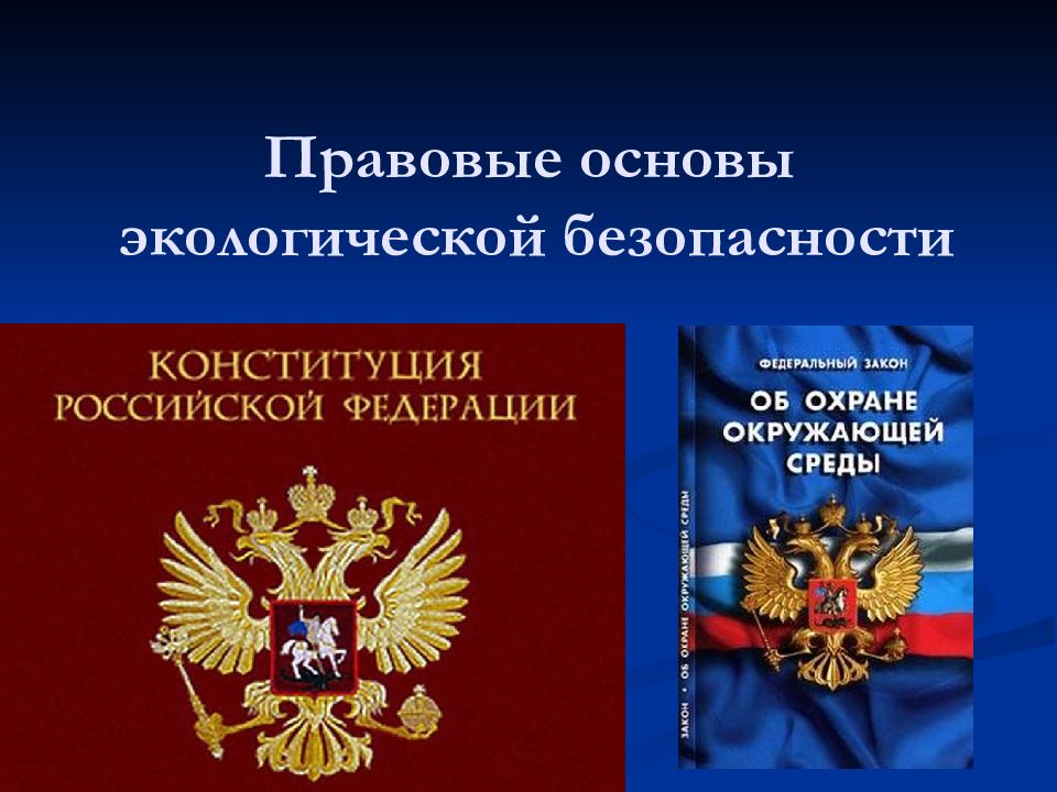 Правовые и социальные вопросы природопользования и экологической безопасности презентация